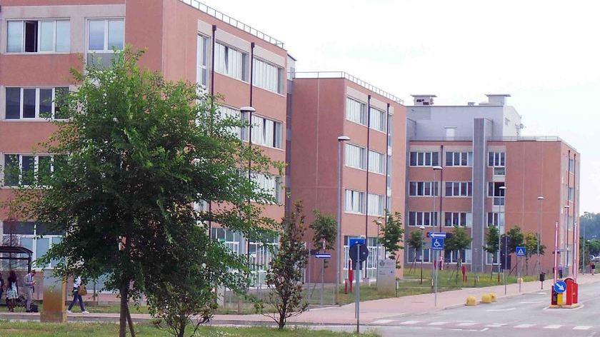 Sposo rimane ferito durante la festa di nozze