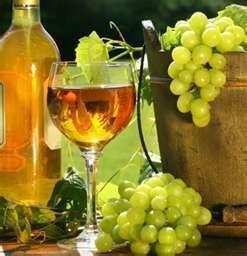 Un calice di vermentino