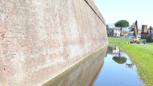 L’Opera delle Mura chiede aiuto all’Asl e alla polizia provinciale