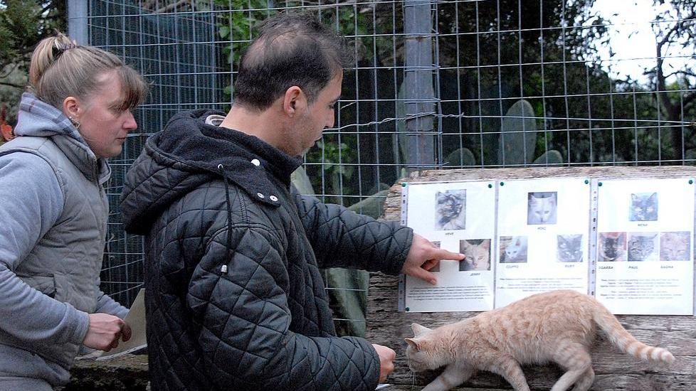 Su Pallosu accoglie i turisti e prepara la sua Estate felina
