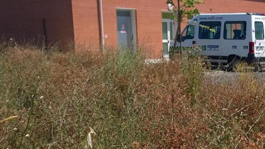 Il Comune: «Il taglio spetta ad Agape»