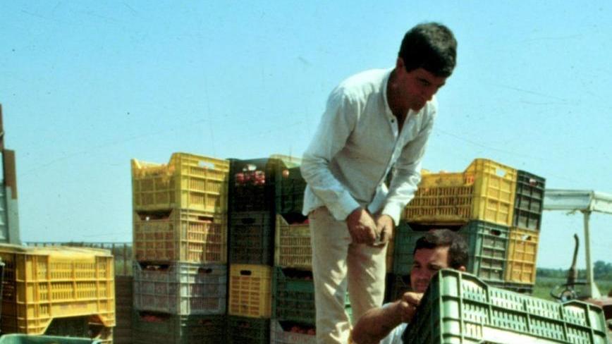 Traffico dei braccianti fantasma nelle vigne per tre euro all’ora