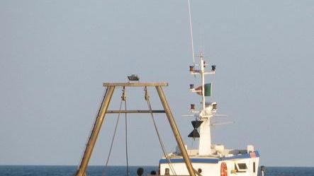 Sistema pesca: tra nuove opportunità e buoni esempi