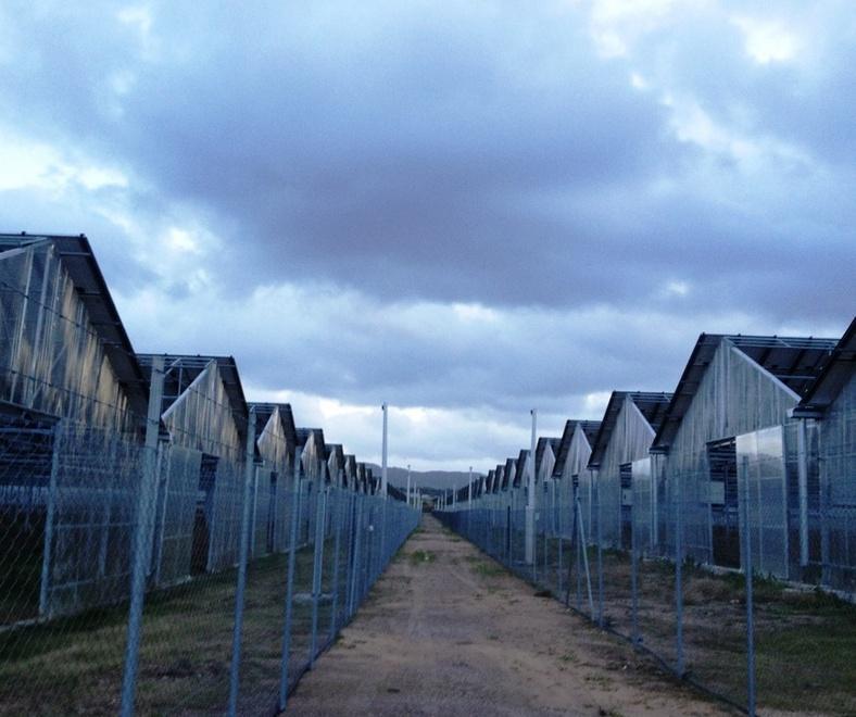 Energia e assunzioni, il Comune verifica la serra fotovoltaica 