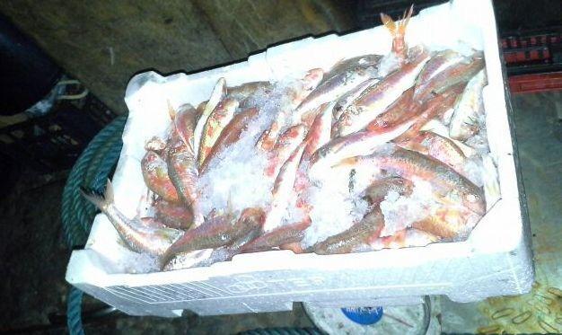 Isola di Santa Maria, multa salata per la pesca a strascico 