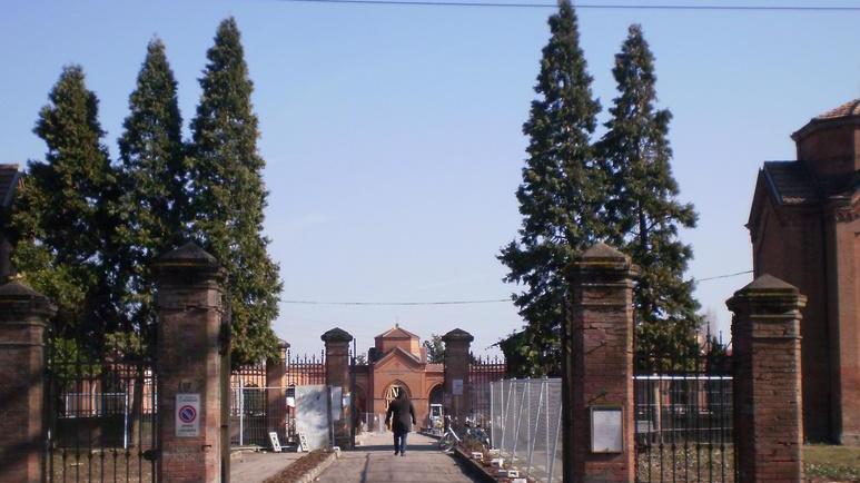 Vigili del fuoco volontari salvano un micio