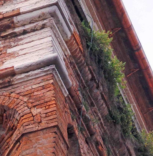 È rimasta l’erbaccia dopo il restauro