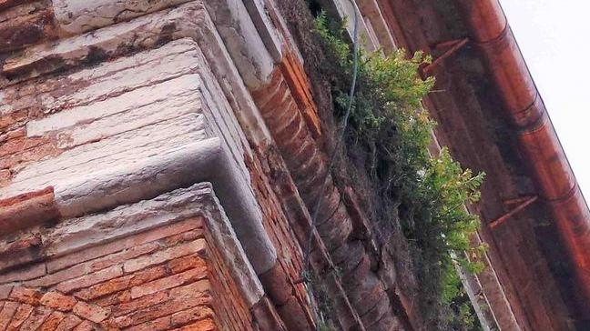 È rimasta l’erbaccia dopo il restauro