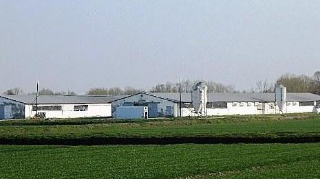 Codigoro, sotto sequestro l’allevamento Magoghe