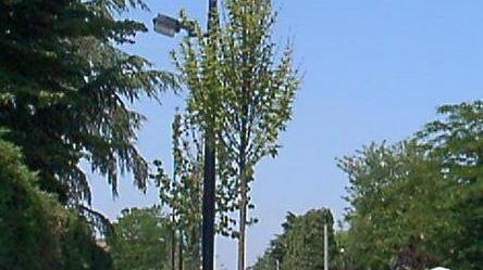 Rissa a colpi di catene in viale Saltini