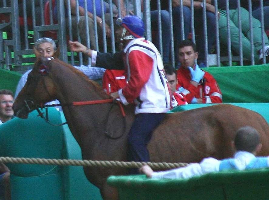 Ferrara, Palio e polemiche: «Periclea parte di noi, corse sicure» 