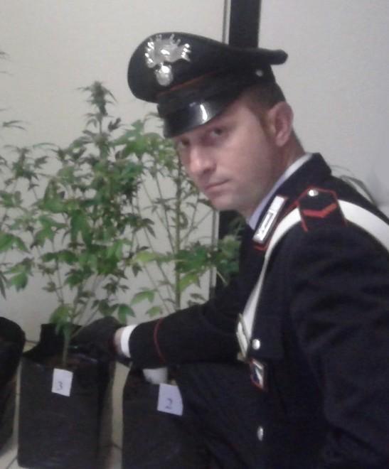 Coltiva marijuana nella sua casa: giovane denunciato