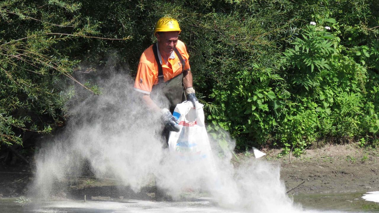 L'intervento della protezione civile lungo il Bisenzio (foto Batavia)