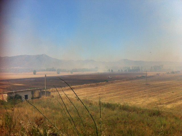 Le fiamme tra Iglesias e Villamassargia hanno interessato diversi ettari