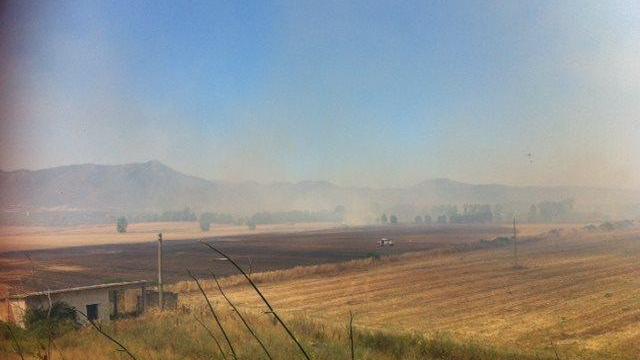 Le fiamme tra Iglesias e Villamassargia hanno interessato diversi ettari