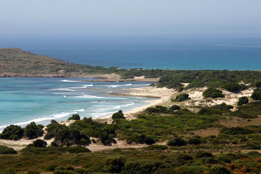 Rogo al poligono di Capo Teulada, intervengono esercito e forestale