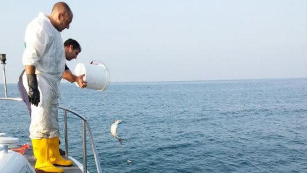 Pesca illegale a Viareggio: sequestrata rete di 300 metri