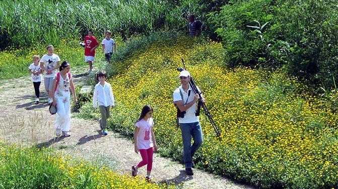 Campi estivi per ragazzi dedicati alla scoperta della natura