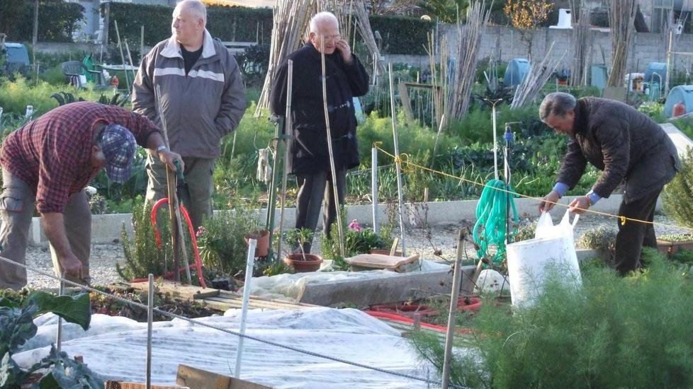 Presto un nuovo bando per assegnare gli orti sociali