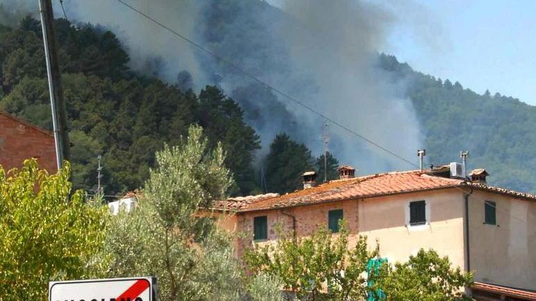 Divieto di bruciare i residui vegetali