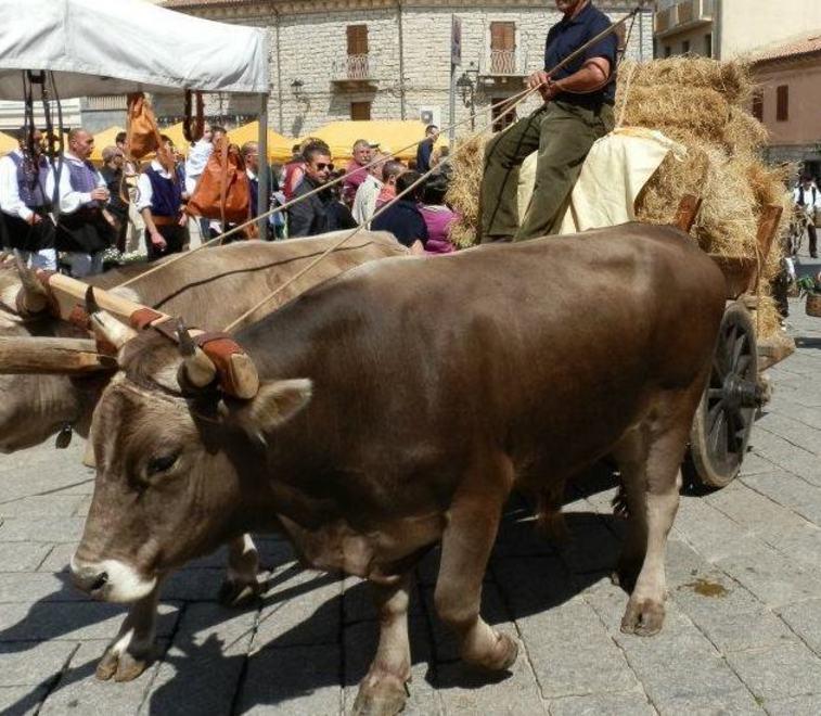 Stazzi e cussogghj, domani il finale con l’agroalimentare