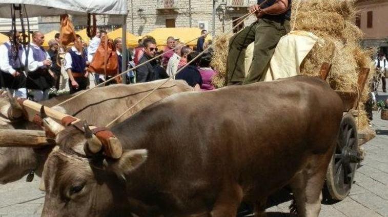 Stazzi e cussogghj, domani il finale con l’agroalimentare