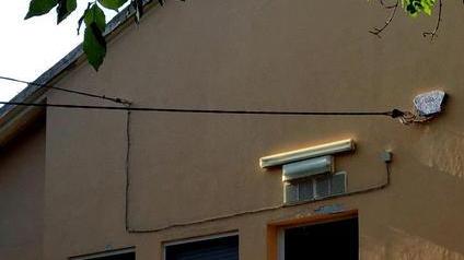 Vandali alla scuola primaria