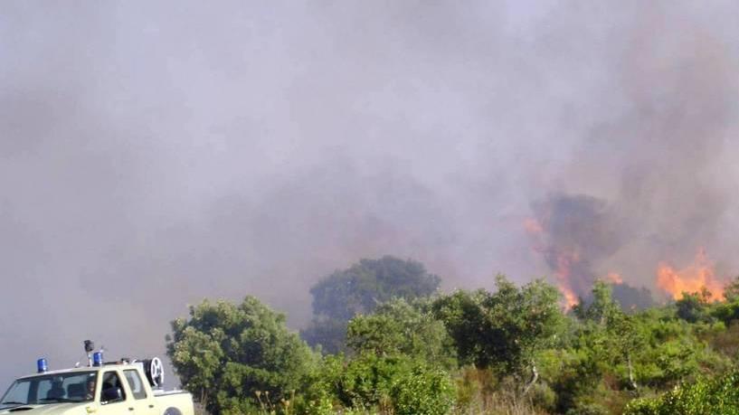 Incendio colposo a Padria: due denunciati 
