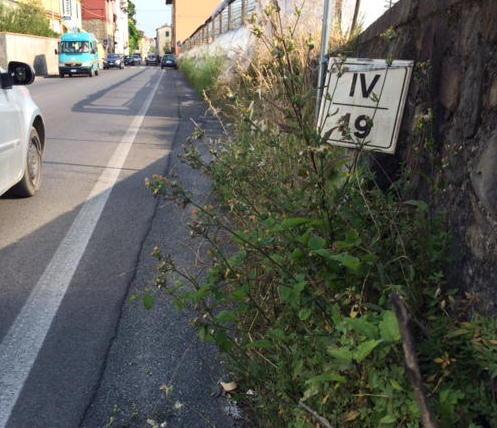Via Fiorentina a Uzzano