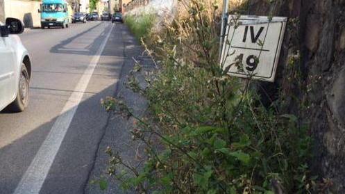 Via Fiorentina a Uzzano