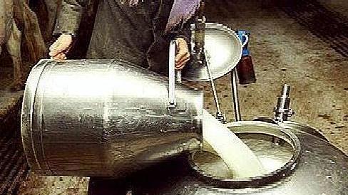Cia contro Coldiretti: «Allarme assurdo sui nostri formaggi»