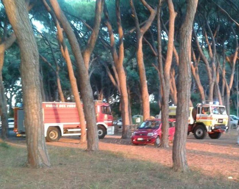 Le fiamme ai piedi della pineta 