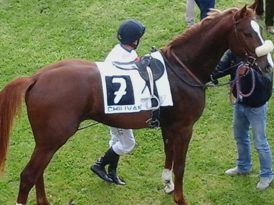 Tornado by Zucchele centra il poker 
