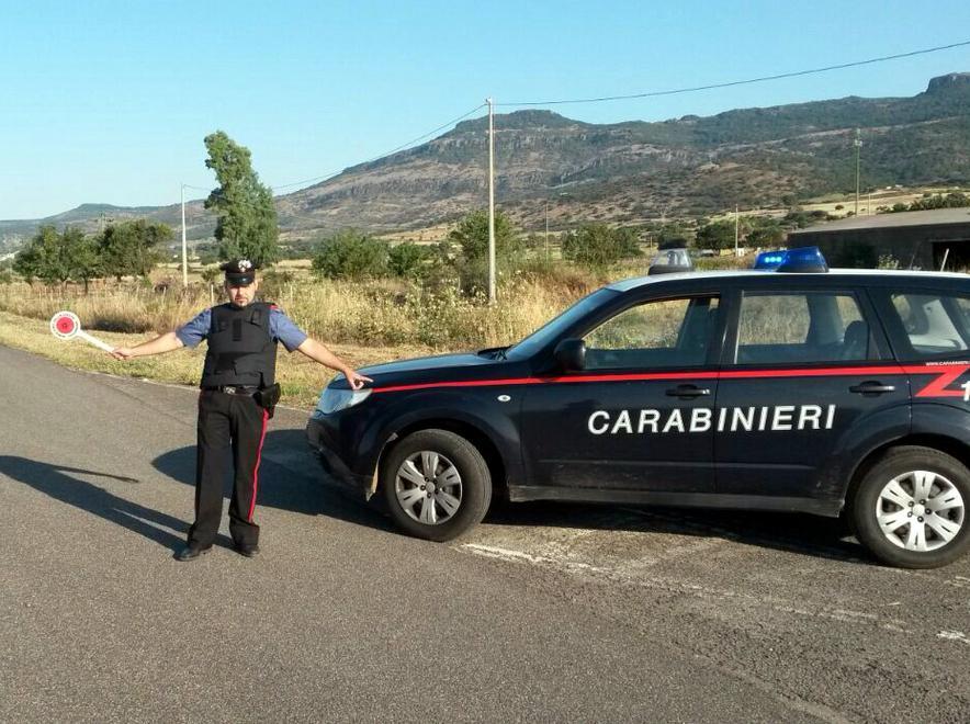 Investe una pecora: denuncia dopo l’alcoltest