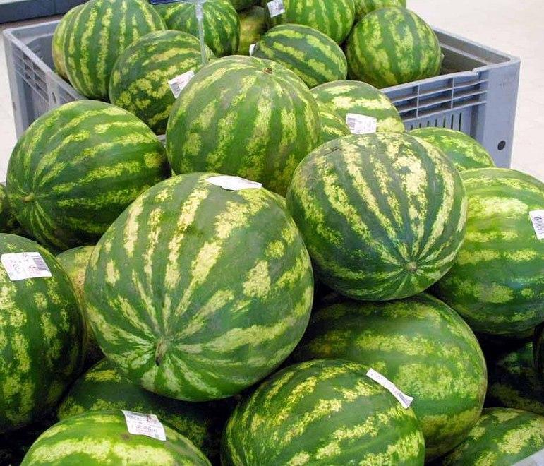 Tentano di rubare angurie, cinque arresti