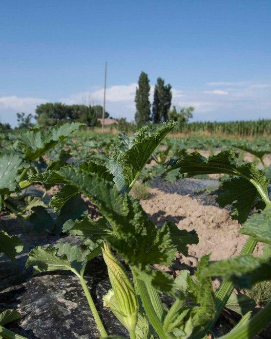La CariCento apre una filiale a Comacchio 