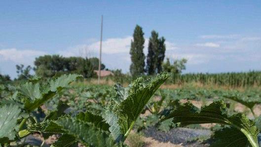 La CariCento apre una filiale a Comacchio