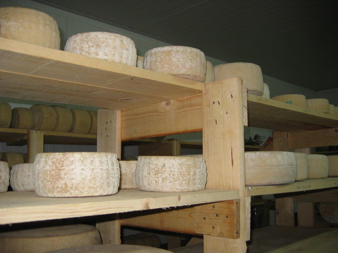 L'interno di un'azienda casearia