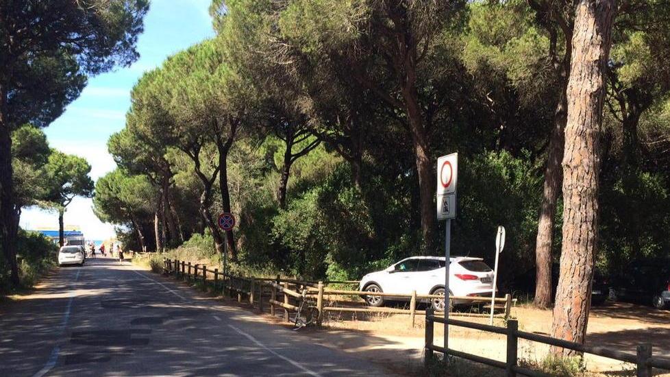 Parcheggi in pineta, ora c’è il via libera