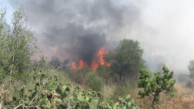 L'incendio nelle campagne di Villaputzu (foto Bulla)