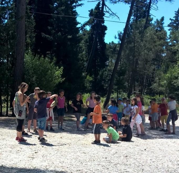 Campi estivi 1.300 bambini già prenotati 