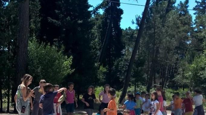 Campi estivi 1.300 bambini già prenotati