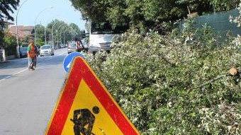 Stop al divieto si può tornare a correre nel Parco