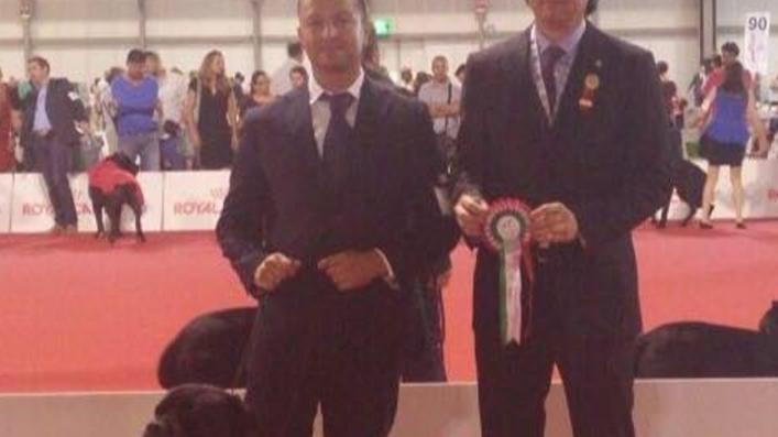 Il cane corso “Diva” primo ai mondiali cinofili di bellezza