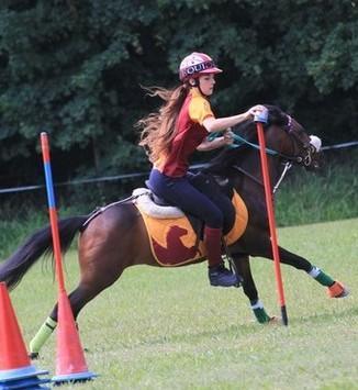 Dieci medaglie al Pony club nazionale 