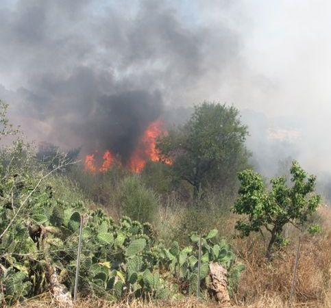 Tre ettari distrutti dalle fiamme 