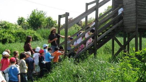 Al Wwf Ferrara la gestione della Garzaia