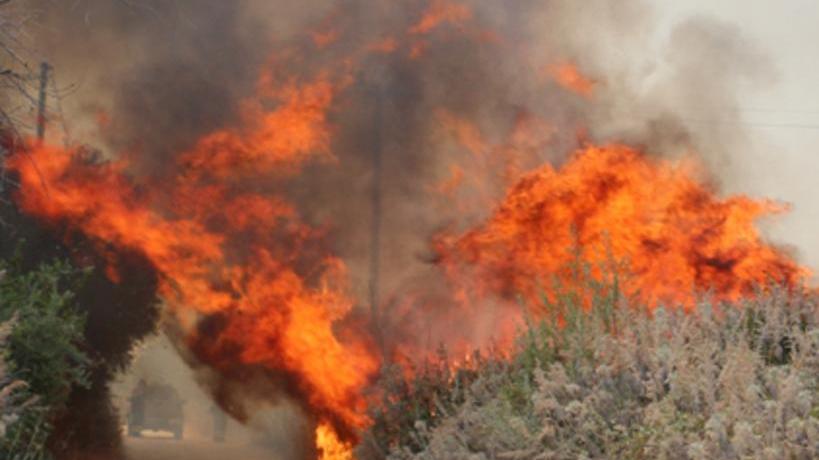 I vigili del fuoco non bastano, è già caos incendi in Sardegna 