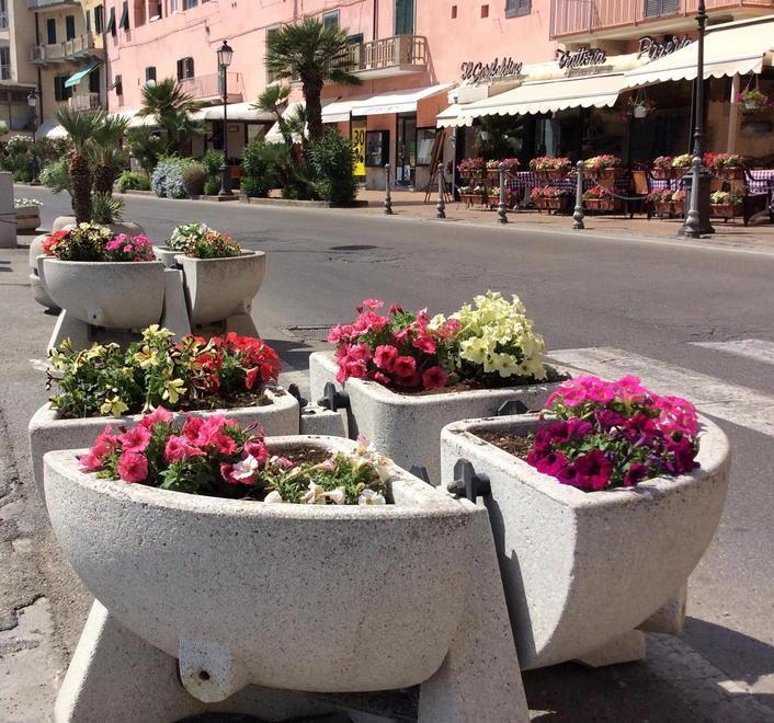 Il consigliere Fasola compra i fiori per abbellire la città 