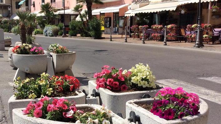 Il consigliere Fasola compra i fiori per abbellire la città